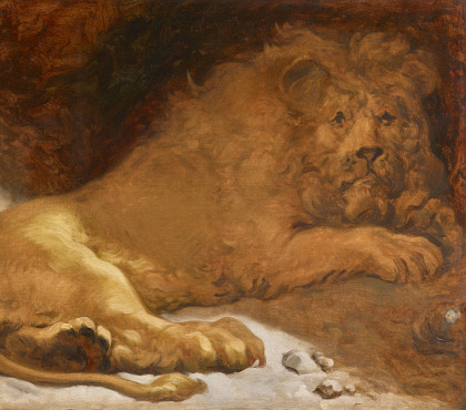 Lion